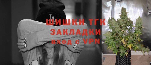 амф Аркадак