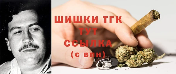 амф Аркадак