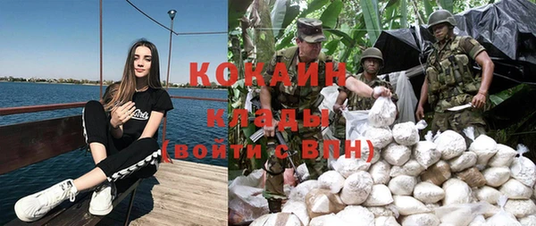 гидра Струнино