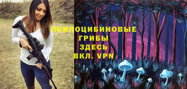 амф Аркадак