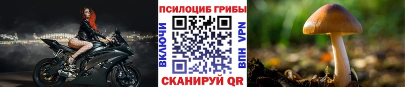 маркетплейс Telegram Новомичуринск Псилоцибиновые грибы Psilocybine cubensis